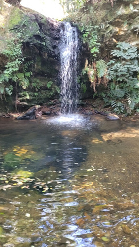 Sitio Serra Da Canastra