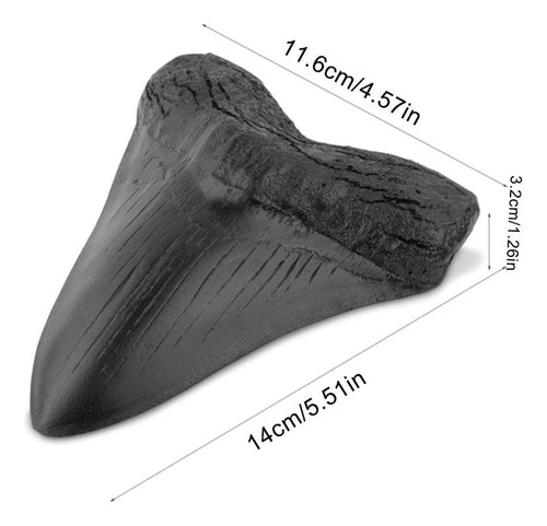 Réplica Fósil De Diente De Tiburón Megalodon, Resina Negra,