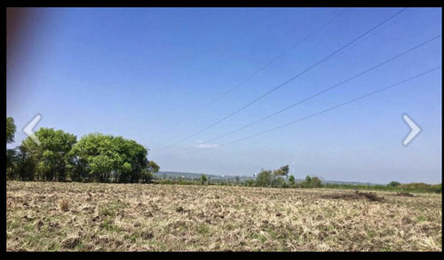 Terreno En Venta En Montemorelos