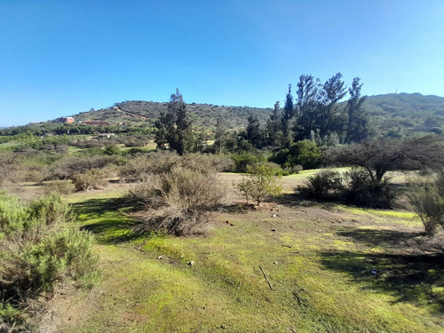 Visite 3 Opciones De Parcelas En Los Laureles (171106)