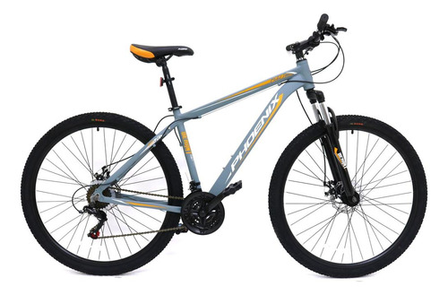 Bicicleta Aro 29 Mtb Phoenix 