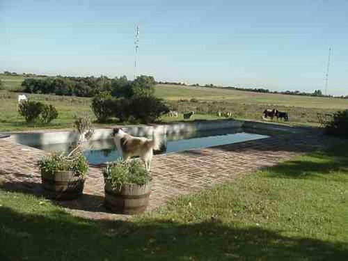 Campos O Chacras Venta Colonia Del Sacramento