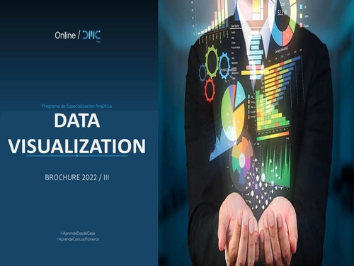 Curso En Data Visualization - Dmc Videos