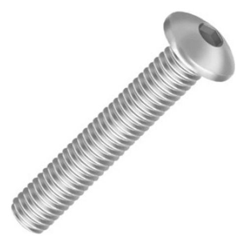 100 Pçs Parafuso Abaulado Allen Sext. Inox 304 M6 6 X 20mm