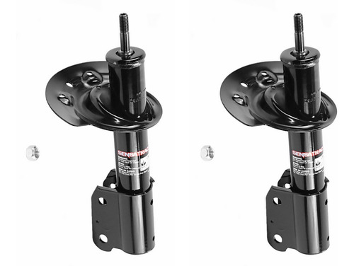 Par Amortiguadores Delanteros Gas Oespectrum Montana 99-05