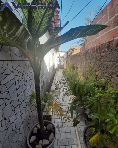 Imagem 21 de 30 de Terreno - Te00010 - 70658817