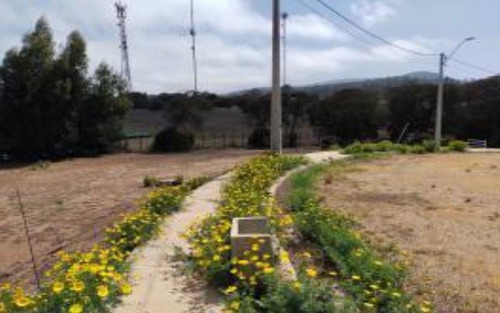 Industrial En Venta En Puchuncaví