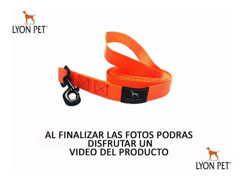 Imagen 3 de 10 de Cinturon De Seguridad Para Mascotas Reglamentario El Mejor!!