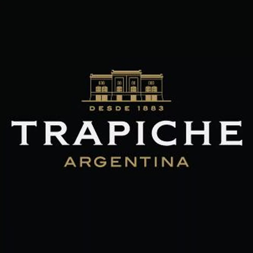 Vino tinto Cabernet sauvignon Trapiche Puro 750 ml pack x 6 u
