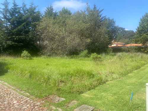 Terreno En Hacienda San Martín