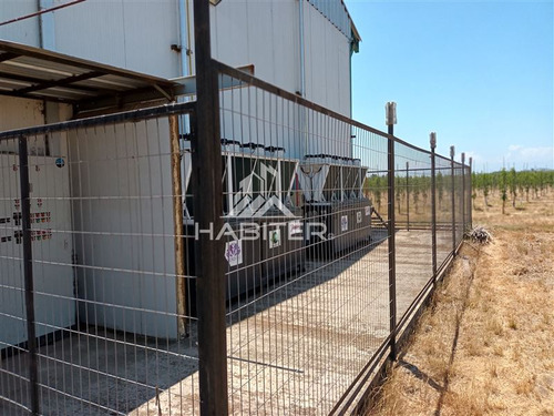 Imagen 18 de 30 de Agrícola En Venta En Curicó