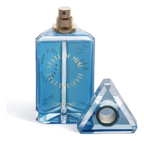 State Of Mind Open Mind Edp 100ml Unissex | + Amostra Volume Da Unidade 100 Ml