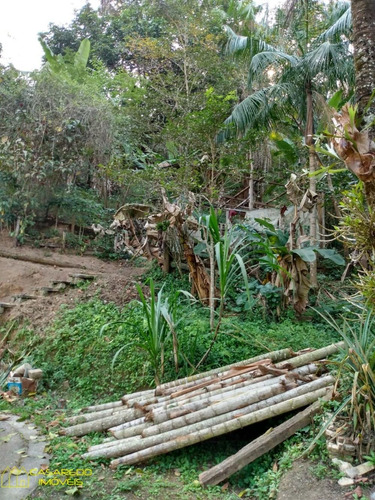 Imagem 6 de 13 de Ótimo Sítio Na Taquara! - Ci2095
