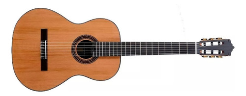Guitarra Criolla Clasica Martinez Standard Mc48c + Funda