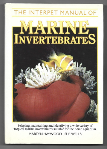 Acuarismo Invertebrados Marinos Camarón Gambas Coral Acuario (Usado)