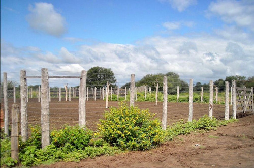 Imagen 6 de 19 de Estancia El Porvenir 200 Hectáreas Juan José Castelli