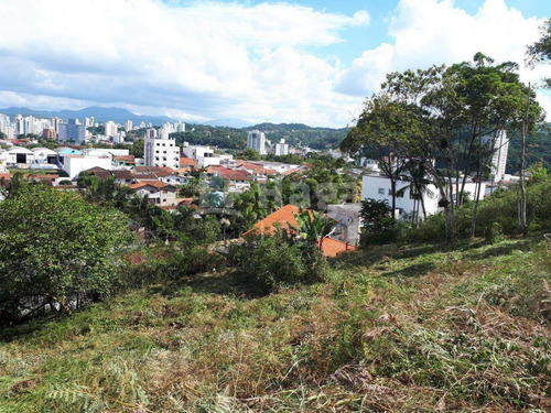 Imagem 4 de 5 de Terreno A Venda Em Brusque/sc - 1444