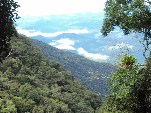Imagem 4 de 6 de Área Para Compensação Ambiental