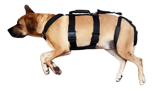 Arn s De Rehabilitaci n Para Perros Ortopedia Displacia Ftz 33.164 08