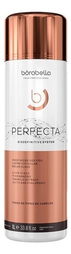  Creme Borabella Perfecta Progressiva Bio Definitive antifrizz de 1L