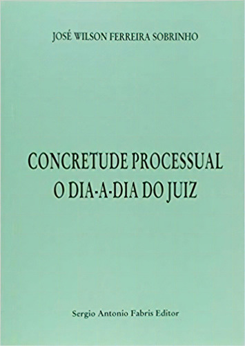 Concretude Processual: O Dia-a-dia Do Juiz, De Ruy  Cezar Do Espírito Santo. Editora Safe, Capa Dura Em Português