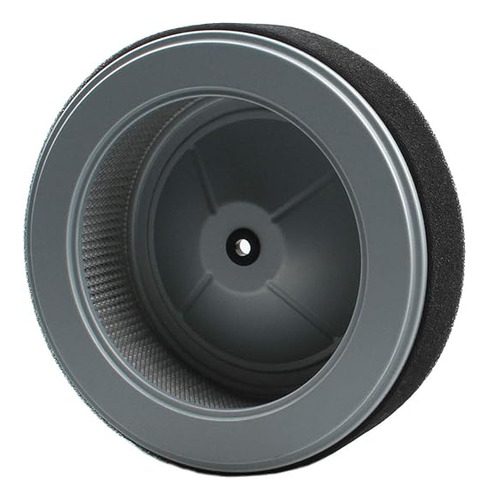 Filtro De Aire 17210-z6l-010 Honda Para Gx630