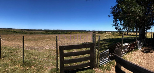 Imagen 3 de 22 de Chacra De 10hta Muy Completa - San Carlos San Carlos