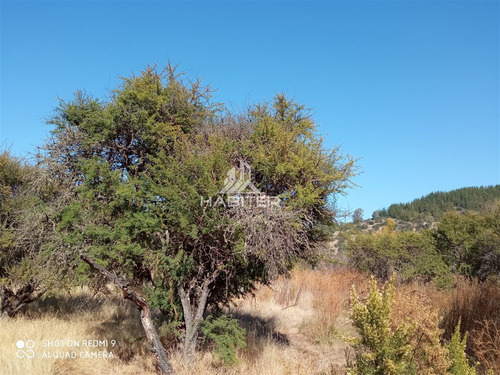 Se Vende Parcela De Agrado En Santa Rosa De Lavaderos Maule