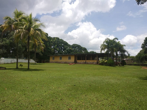 Imagen 21 de 29 de Rosaura Cortez Vende Finca En Sabana Del Medio - Barrera