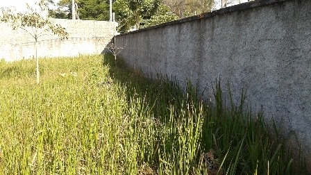 Imagem 9 de 10 de Lote - Enseada Das Garcas - Ref: 38773 - V-38773