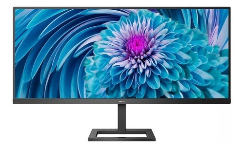 Monitor gamer Philips E 343E2E/27 LCD 34" negro 100V/240V