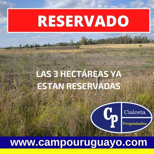 Oportunidad, Chacra De 3 Hectáreas Para 30.000 U$s