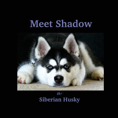 Libro Meet Shadow The Siberian Husky: Meet Shadow - Macni...