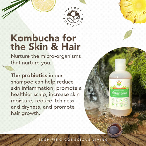 Champú Natural Orgánico Con Probióticos, Sin Sulfatos, 9 Oz