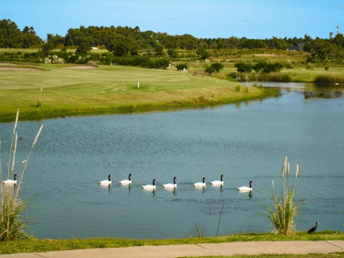 Imagen 14 de 19 de Carmelo Golf