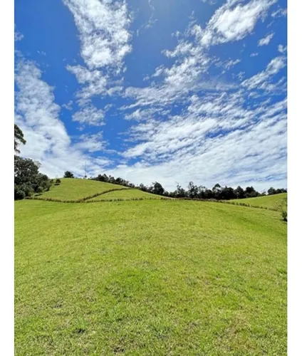 Rhbr-10092 Lotes (la Ceja , Vereda El Uchuval, Via La Ceja - La Unión)