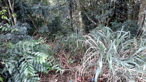 Imagem 5 de 5 de Terreno Para Venda, 412.0m² - 32767