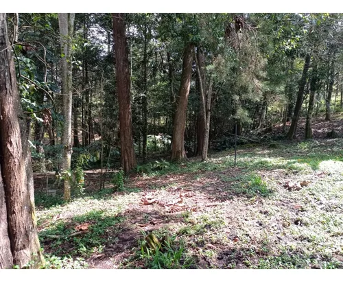 Lote En Venta Sector Llanogrande- Parcelación Vía Don Diego