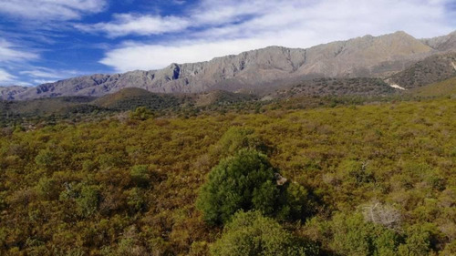 Imagen 8 de 18 de Último Terreno De Altura En Venta De 5.000 M2, Las Rabonas, Traslasierra