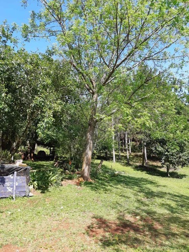 Imagen 3 de 5 de Chacra - Obera, Misiones
