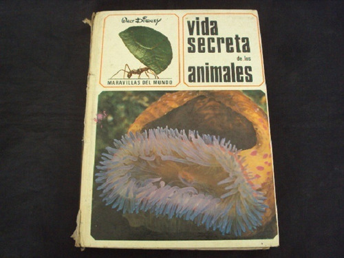 Vida Secreta De Los Animales - Walt Disney