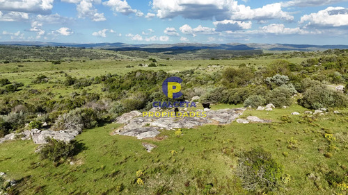 30 Hectáreas A 35 Km De San Carlos