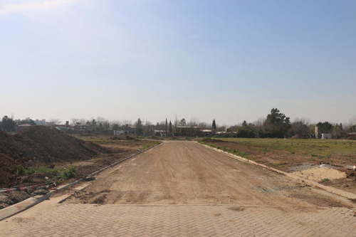 Imagen 5 de 28 de Ecotierra Sur - 300 M2