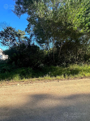 Terrenos en venta - Ocean Park