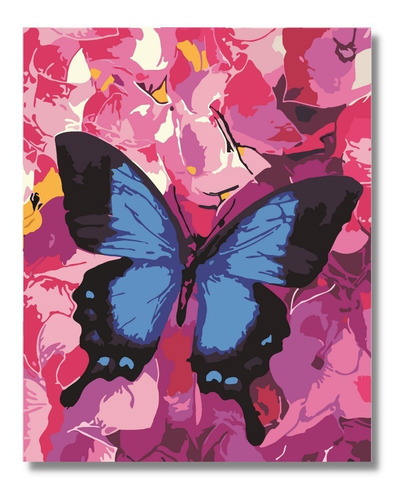 Pintura,cuadro Para Pintar Por Números Enmarcado , Mariposa
