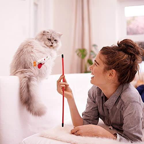 Juguetes De Navidad Gatos Forma De Medias, 11 Pcs Conju...