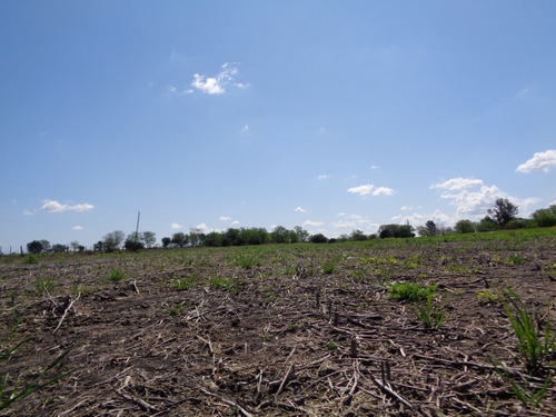Campo Agrícola A Poca Distancia De Ruta Nacional 14 Camino Mejorado, A 240 Km De Buenos Aires, Apto Varios Destino
