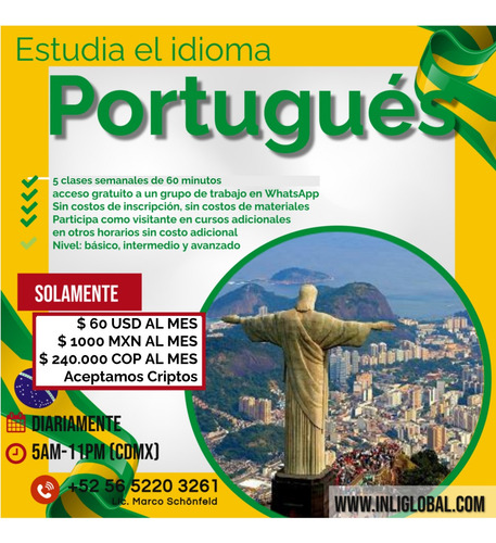 Curso De Inglés/alemán/francés Online En Tiempo Real