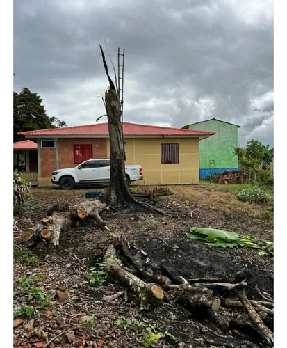 Se Vende Finca Cafetera Tecnificada En Armenia - Quindío