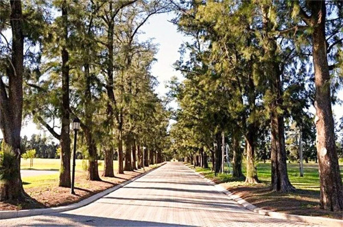 Imagen 4 de 19 de Terreno - Fighiera